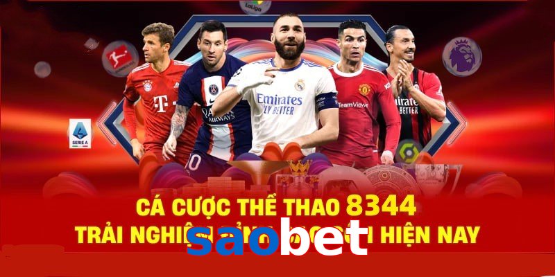 Đá Gà Philippines – Tinh Hoa Truyền Thống Và Thể Thao 